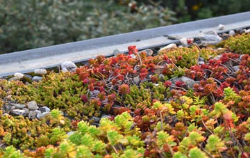 the cost of Dent Bank green roof installation
