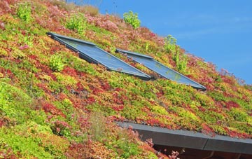 Dent Bank living roof systems