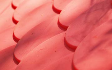 Dent Bank plastic roof costs