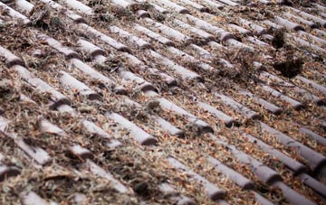 Dent Bank roof cleaning companies