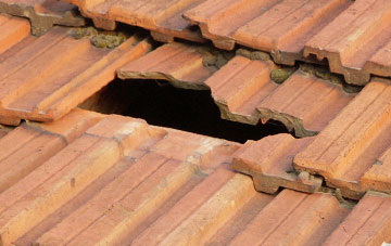 roof repair Dent Bank, County Durham