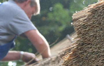 professional Dent Bank thatchers