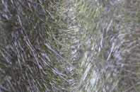 Dent Bank fibreglass roof work